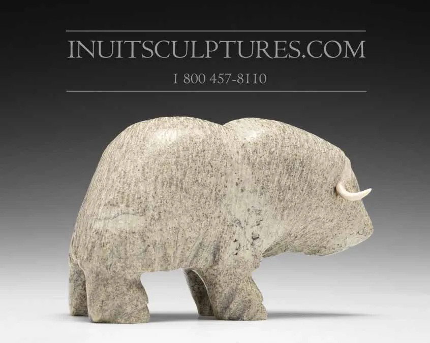 7" Muskox Mathew Tikivik