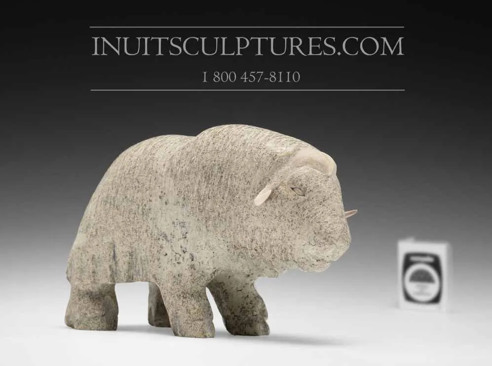 7" Muskox Mathew Tikivik