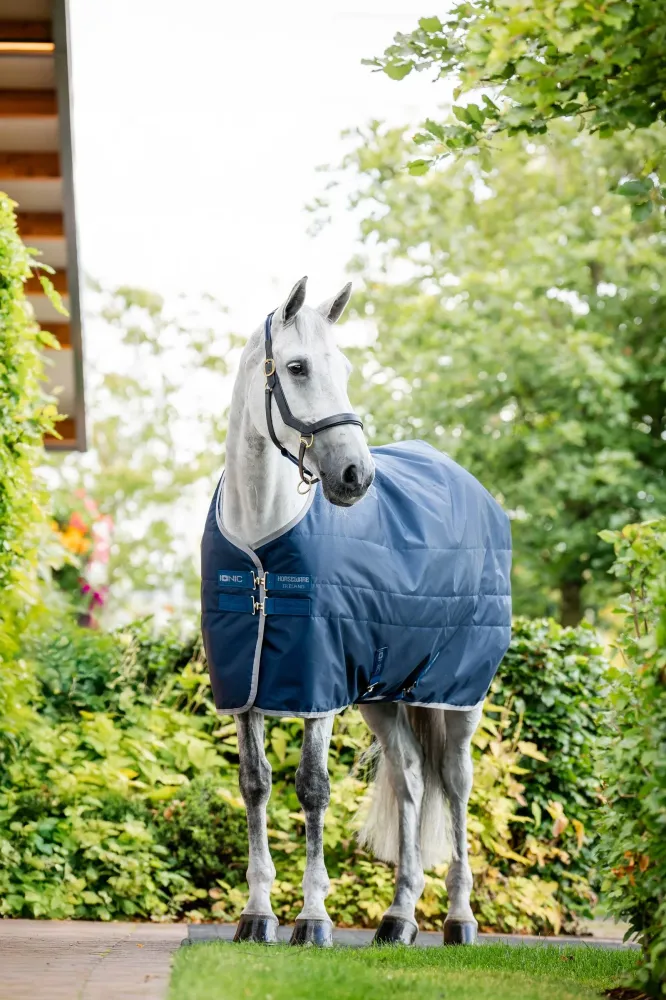 Ionic Therapy Betrouwbaar Rug, 50g Imperial Blue/Silver & Navy 145