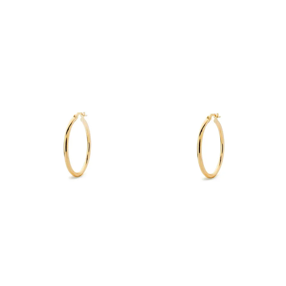 Roestvrij Staal 9ct Citroengeel Gold Hoops Earrings shine 23x1.5 mm