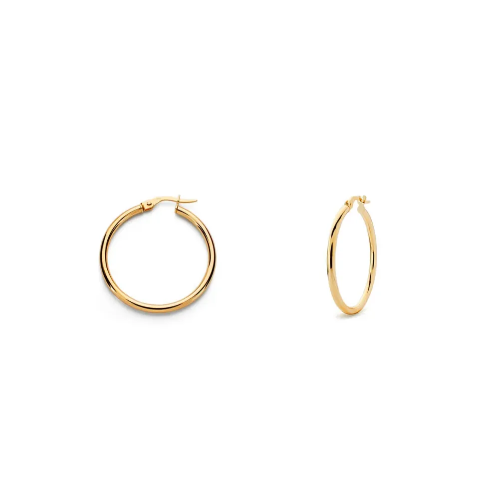 Roestvrij Staal 9ct Citroengeel Gold Hoops Earrings shine 23x1.5 mm