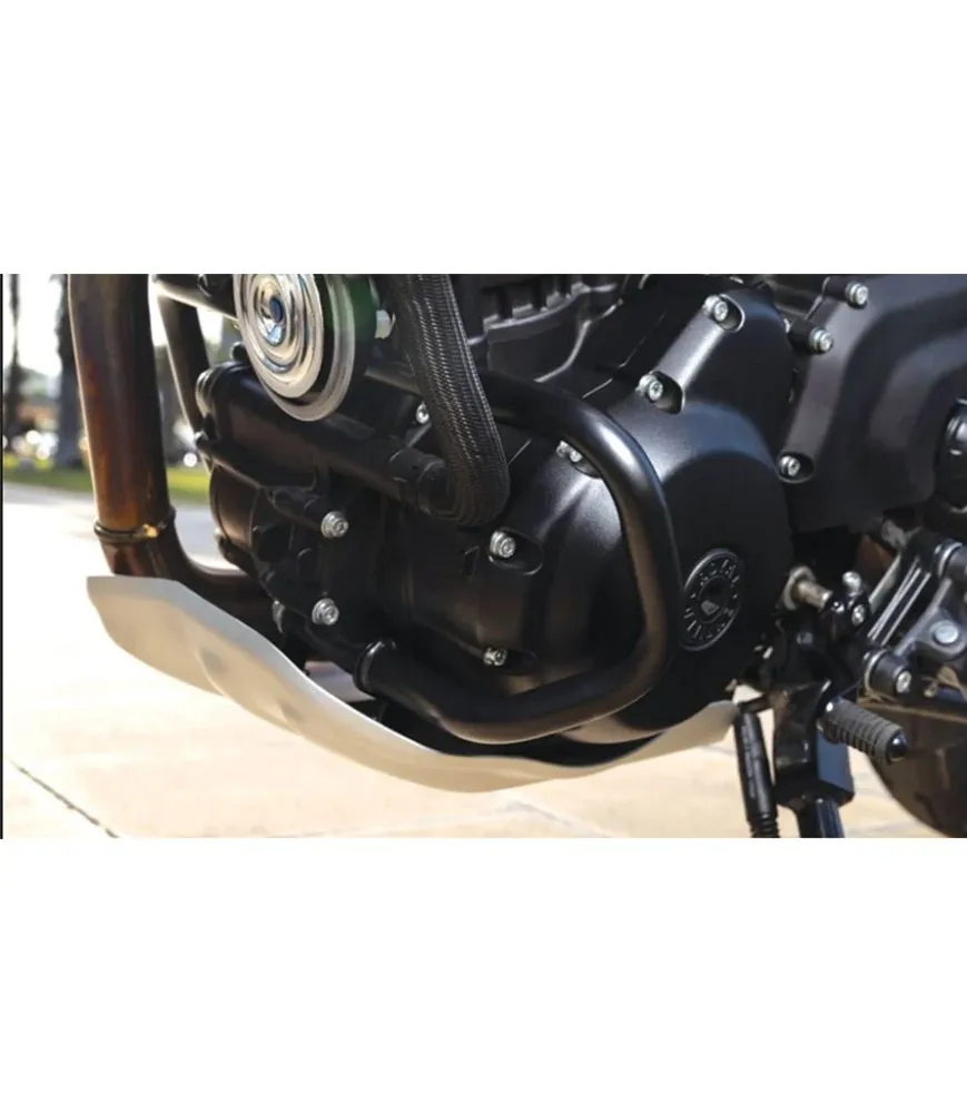 Roestvrij Staal Engine Protection Bars Guerrilla 450 / Himalayan 450 - Royal Enfield