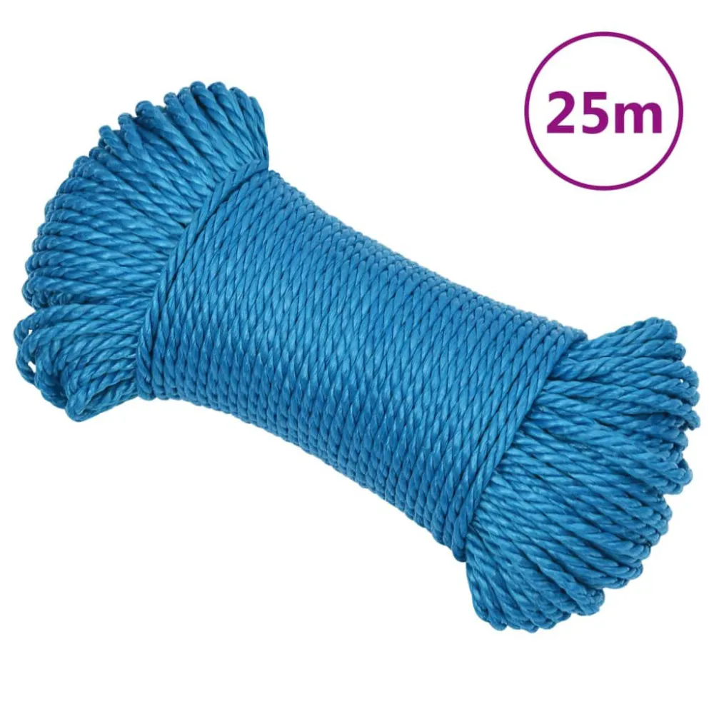 Gecertificeerd Professioneel Werktouw 3 mm 25 m polypropeen blauw