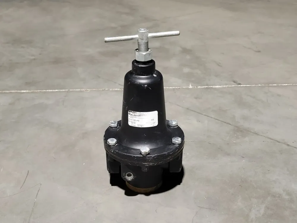 Pressure Regulator R119-08C/M2, 300 psi