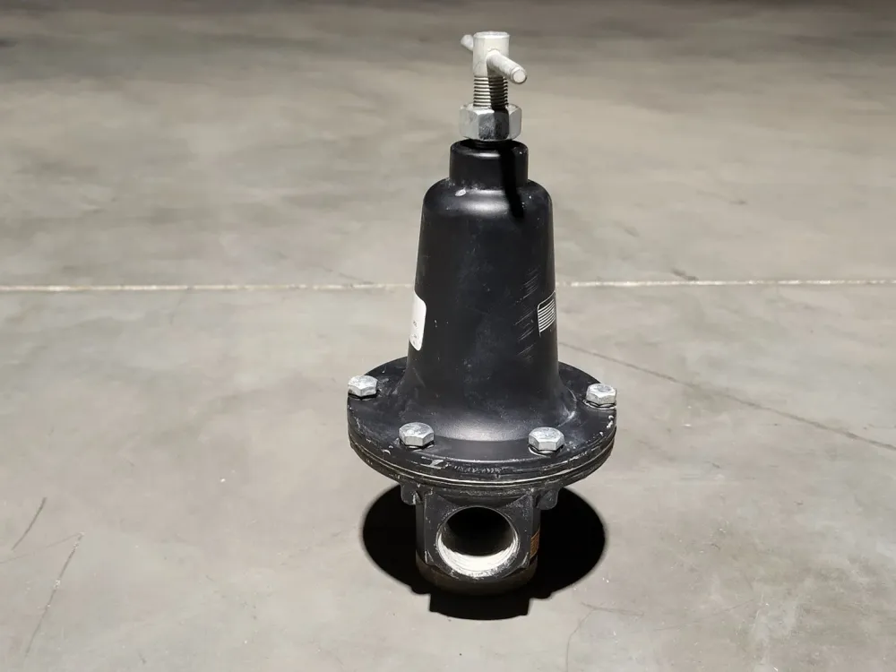 Pressure Regulator R119-08C/M2, 300 psi