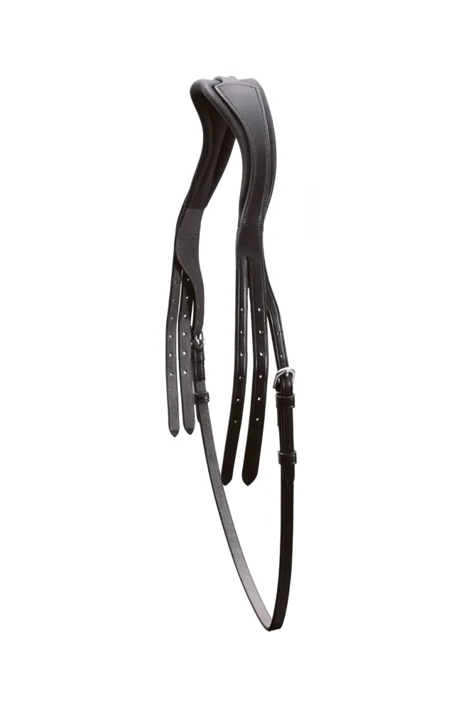 Head Piece Select Black/Silver P roestvrij staal