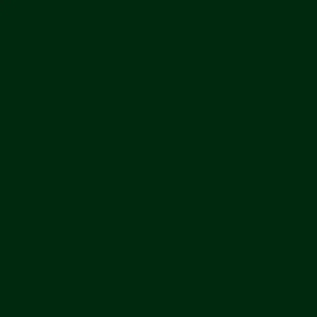 Gecertificeerd Rust-Oleum Professional Gloss Olijfgroen Enamel Oil-based Interior/Exterior Paint (1-Gallon)