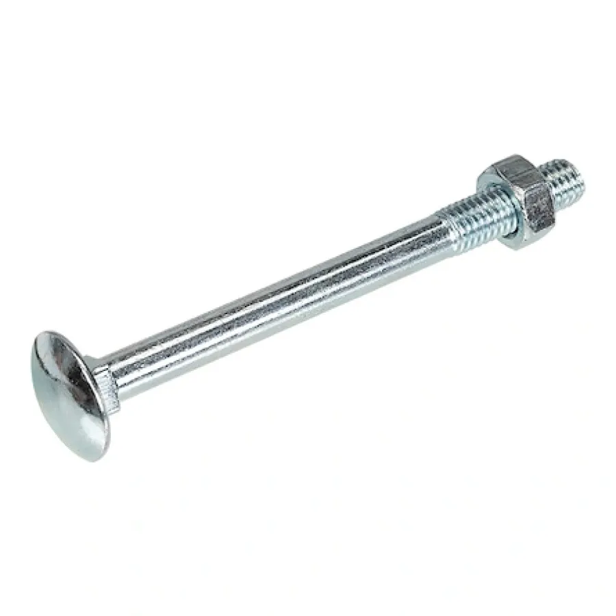 Roestvrij Staal Hoenderdaal slotbout [25x] - VZ - M10x240mm