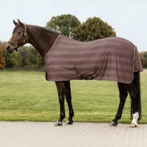 Economic Fly Rug Mocca 135