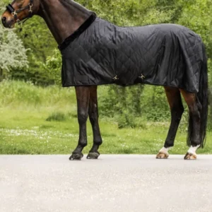 Exclusive Travel Rug, 50g koolzwart 135
