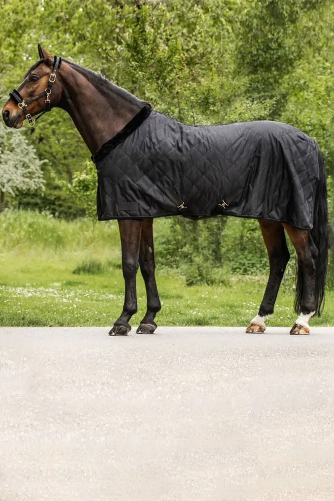 Exclusive Travel Rug, 50g koolzwart 135