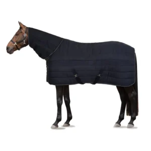 Kingsley Combo Betrouwbaar Rug Neck, 300g Dark Navy 155