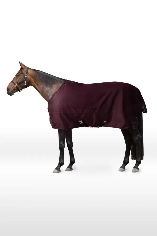 Newbridge Reflective Turnout Rug, 300 g Fig 145 - 100x60cm Plaat