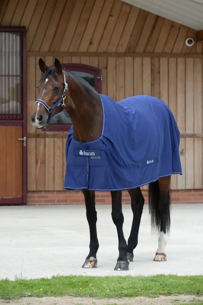 Shamrock Power Rug Dark Blue/Silver 170