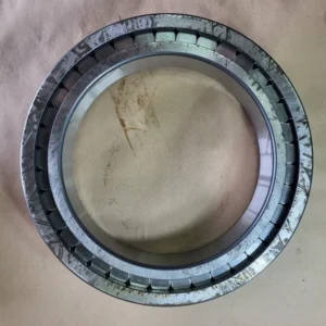 Cylindrical Roller Bearing SL182952-B