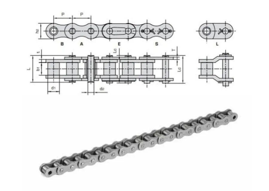 Precisie-roller Donghua - Rollenketting - SBSR - Simplex - 3/4" - ANSI - 60-1