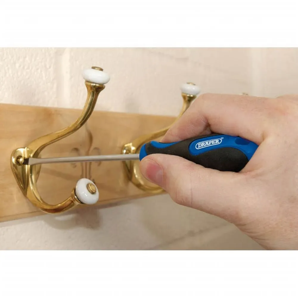 Draper Tools Schroevendraaier set 19-dlg blauw 09548