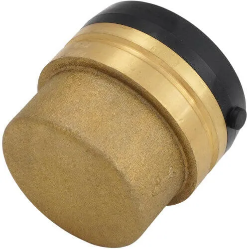 SharkBite 2 . Messing Push Cap
