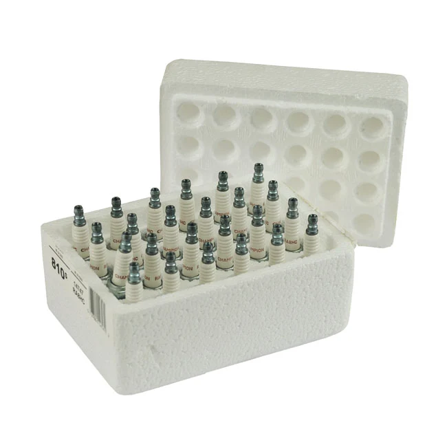 Taps toelopend Champion, Spark Plug, Ra8hc. 24-Pack Harley-Davidson