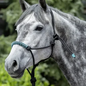 Knotted Rope Halter Black/ Aquamarijn C-F (ISO 9001)