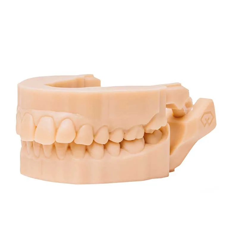 Freeprint Model 2.0 – 3D Dental Model Resin (Detax)
