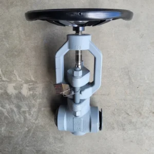 2" Class 900 Globe Valve B16.34