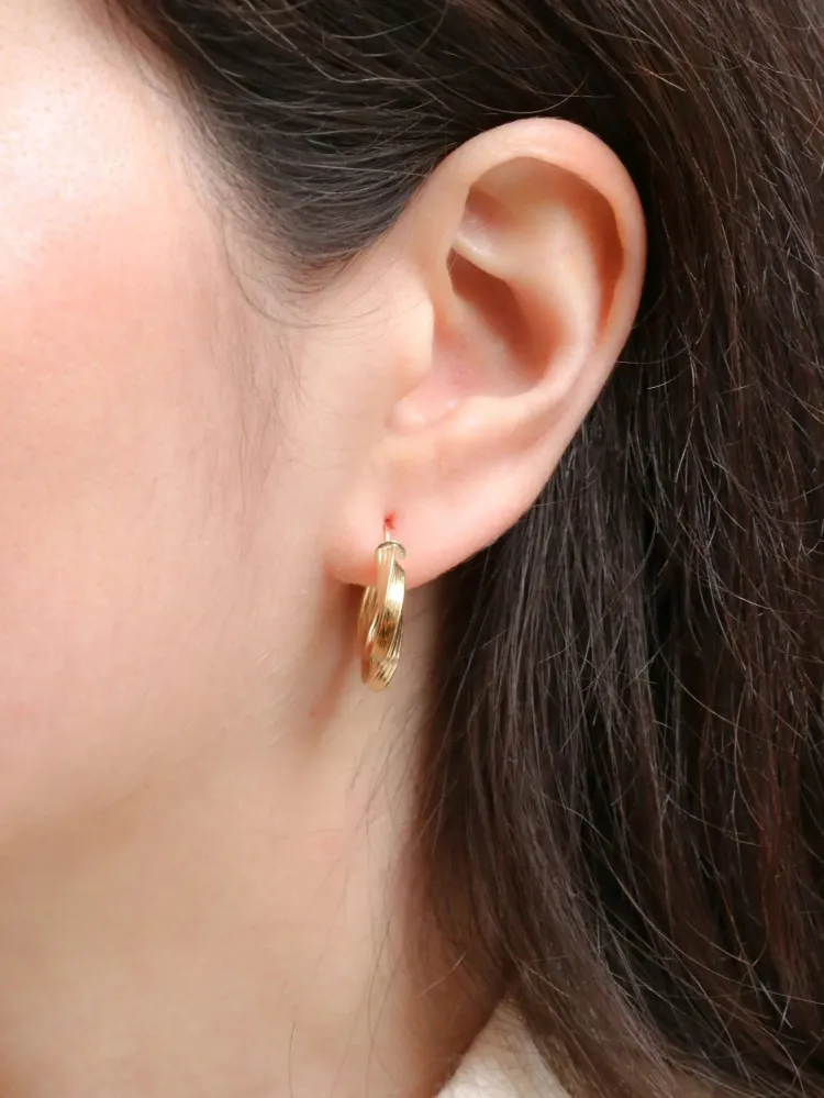 Gegalvaniseerd Roestvrij Twisted hoop earrings Citroengeel gold