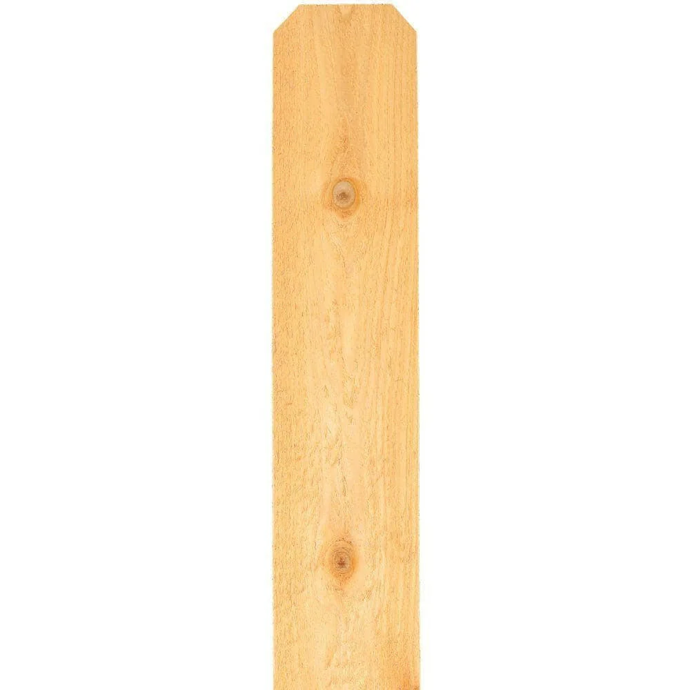 5/8- x 4- x 6-ft Western Rood Cedar Dog Ear Fence Picket