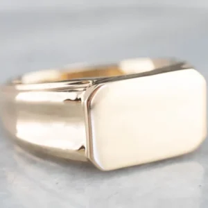 Men's East to West Goud Signet Ring