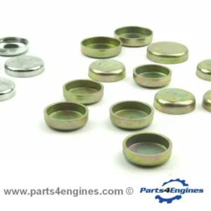 Perkins 4.248 Core Plug Set