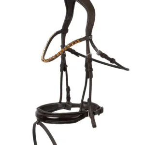 Clermont Anatomic Bridle Dark Taupe F
