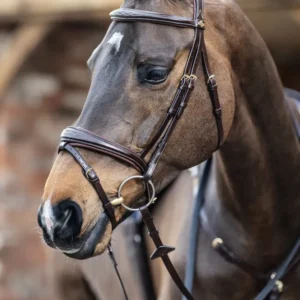 Competiton Flash Bridle Havana Taupe P