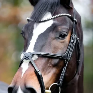 Gegalvaniseerd Roestvrij Lucia Mexican Bridle Black/Patent Grey C