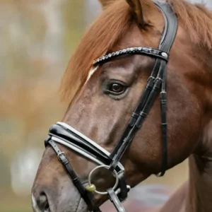 Liliana Crank Bridle Flash Blackpatent/White C