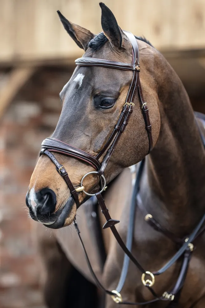 Vergrendelbare Competiton Flash Bridle Havana Taupe P