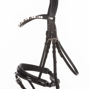 Zora Crank Bridle Flash Blackpatent/Black F - DIN 580 Norm