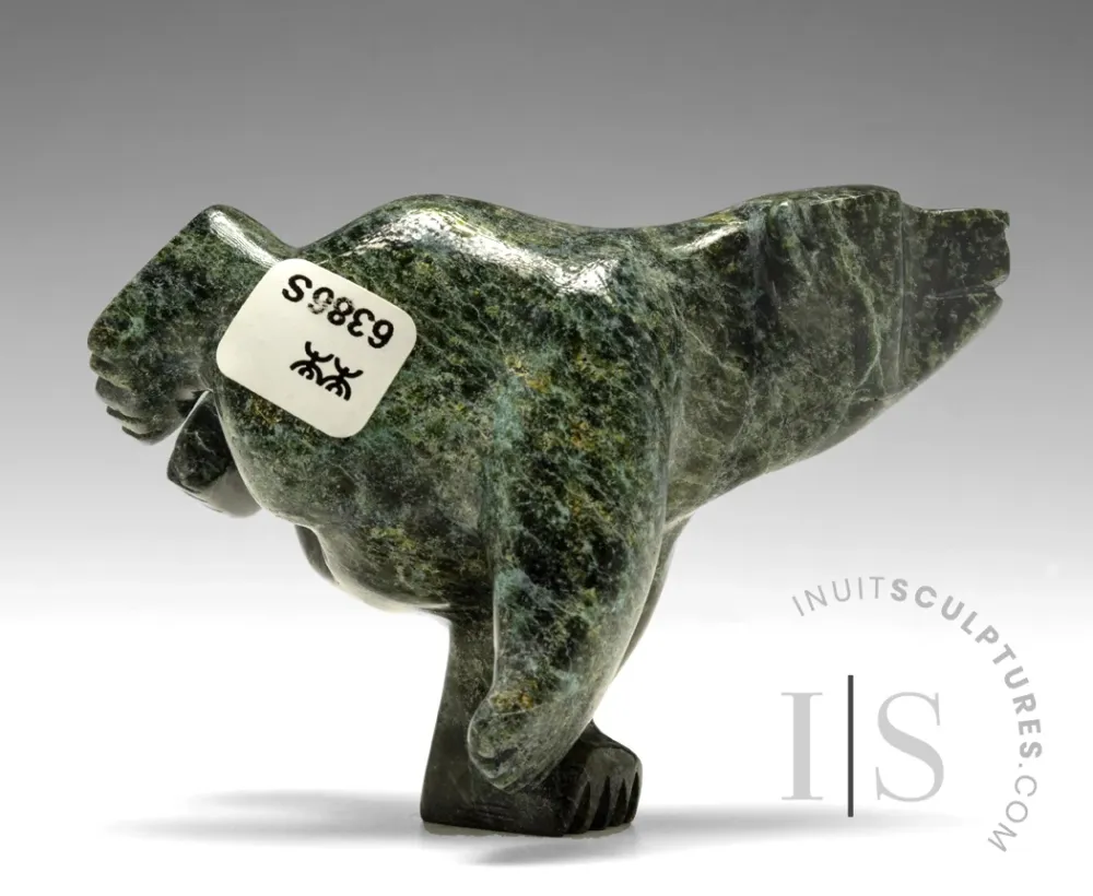 4" Diving Bear Moe Pootoogook *Bronco* Heavy Duty kwaliteit