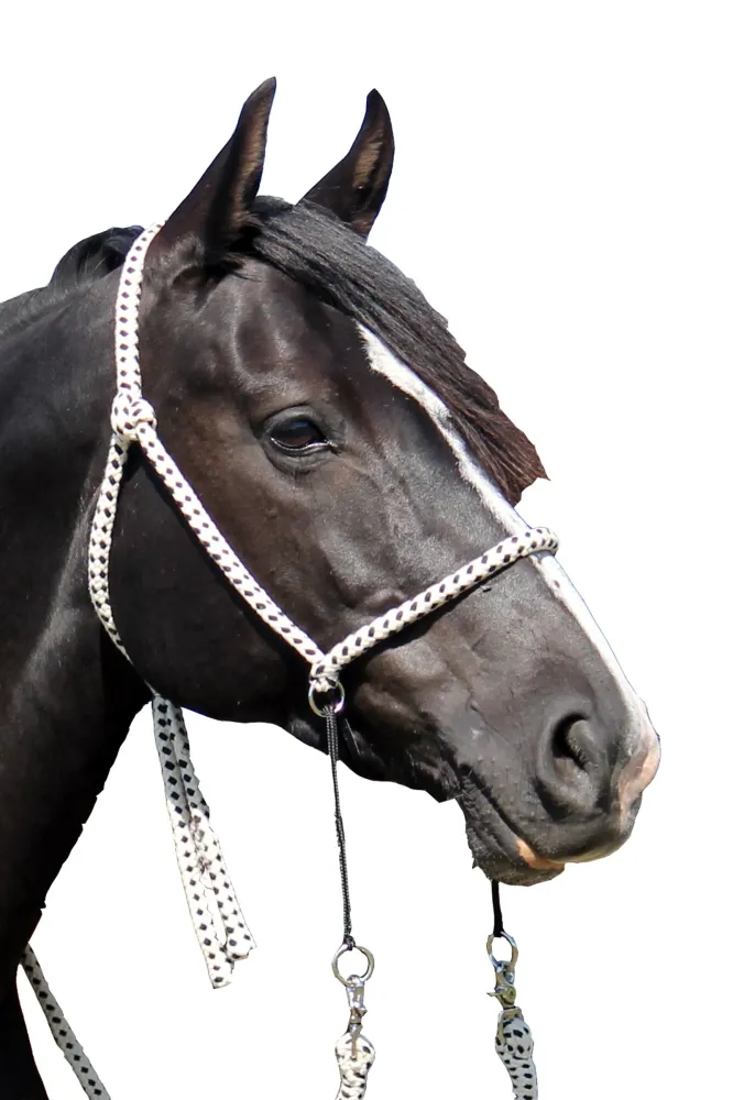 Nanouk Bitless Bridle (System 4) Katoen w/ Clip Reins Natural/Black C-F