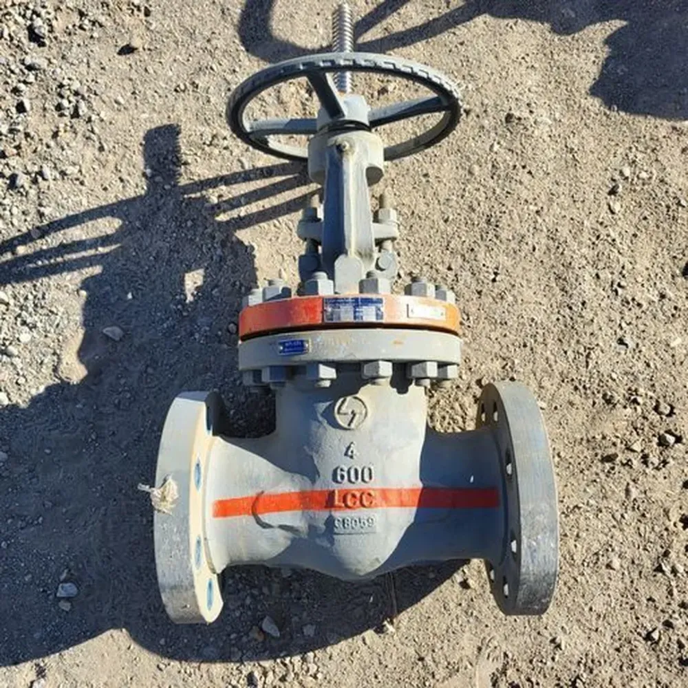 Parkerschroef 4" Class 600 Gate Valve B16.34