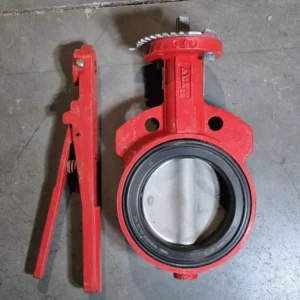 RVS bout 4" Butterfly Valve