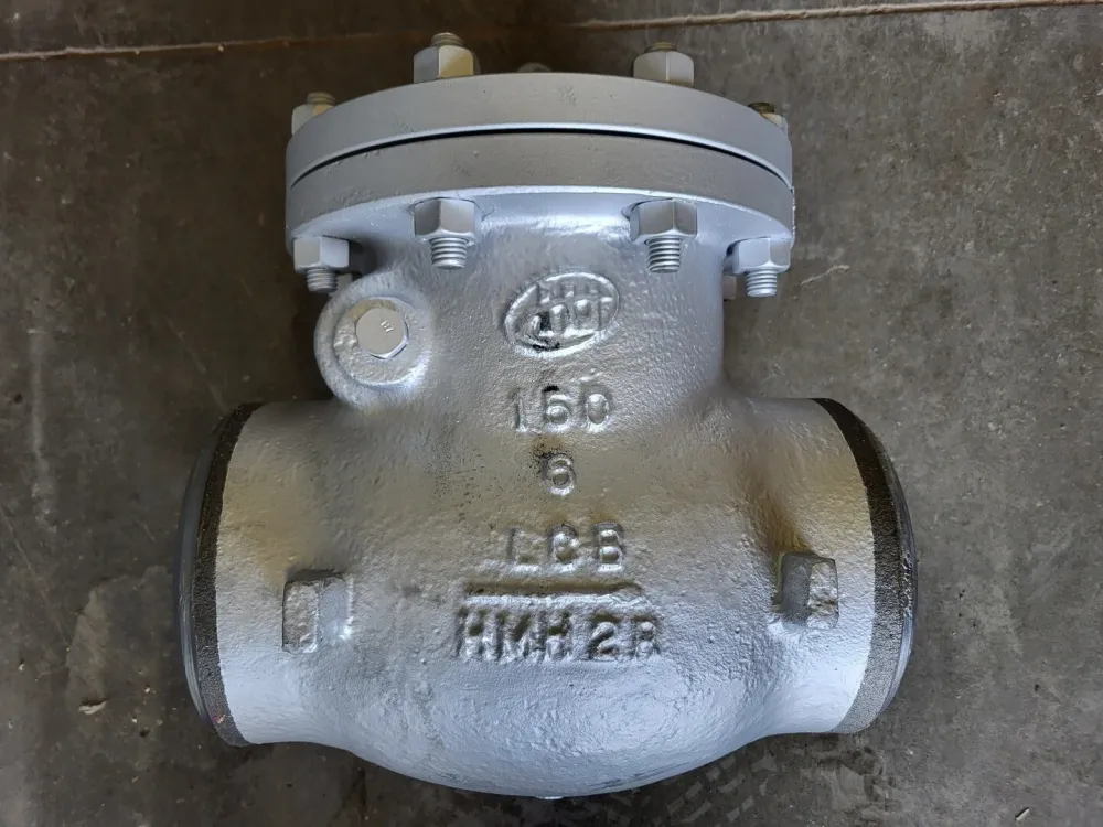 6" Class 150 Check Valve B16.34