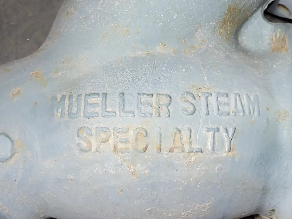 Gegalvaniseerd DIN 933 Steam Specialty 6" Class 150 Y-Strainer Flanged 678101