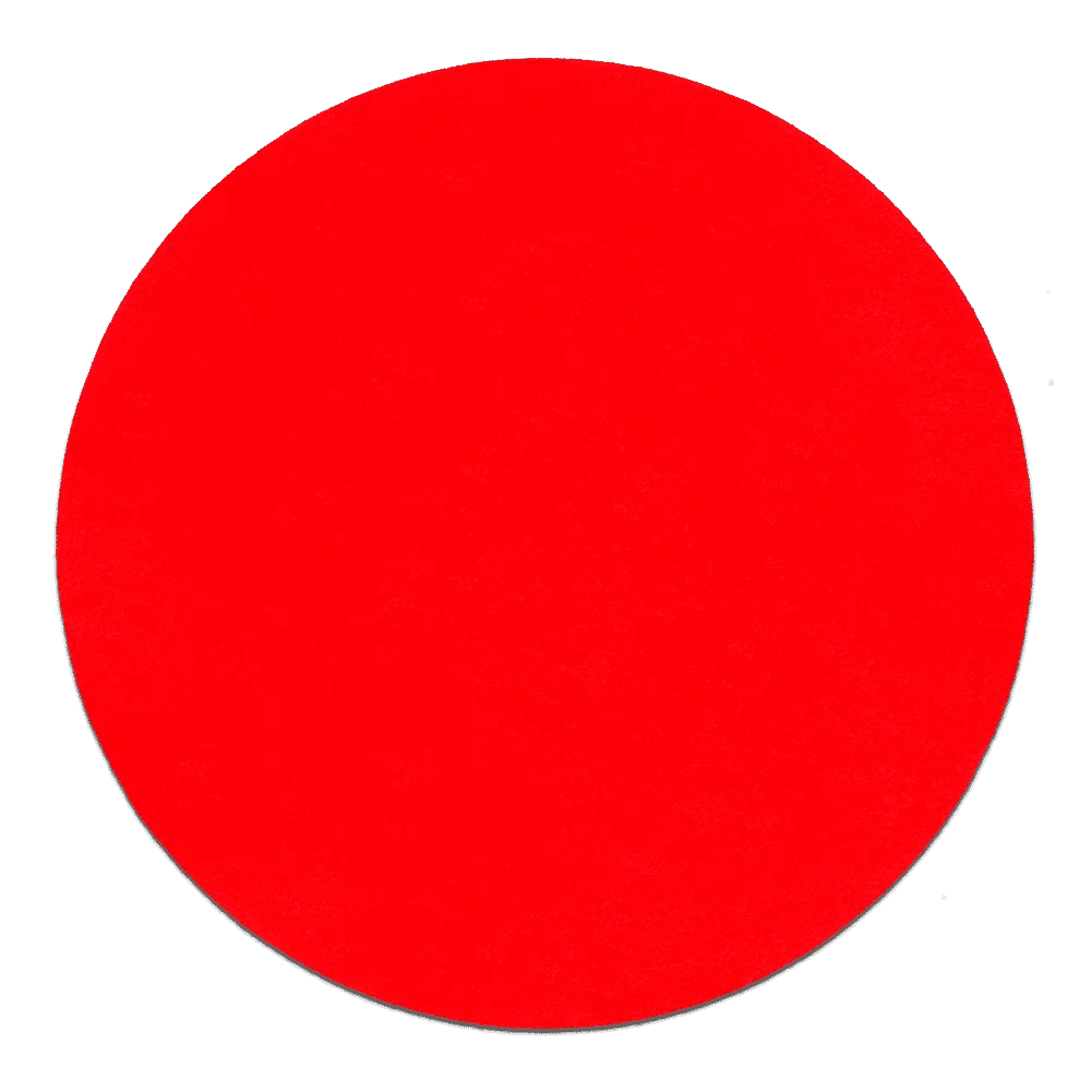 6 . 80 Grit (Coarse) Ros Stickfast Discs (15-Pack)