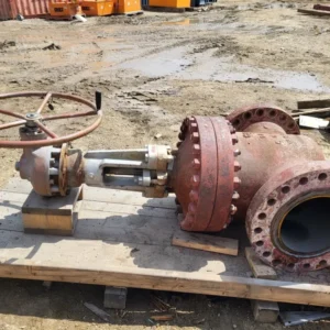 Inbusschroefbout 12" Class 600 Gate Valve