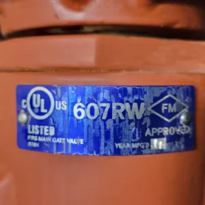 6" Class 150 Flanged Gate Valve 607RW